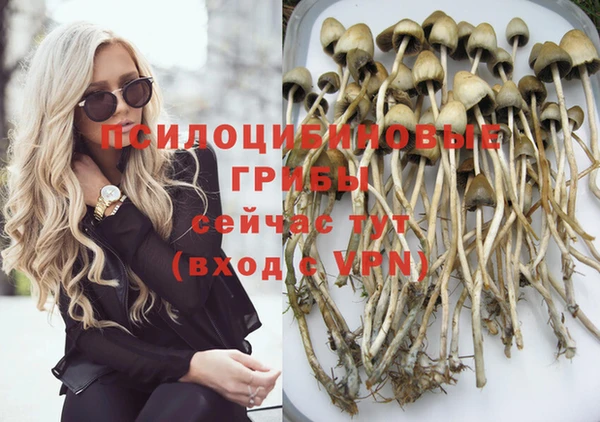 бошки Алексеевка